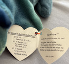      Ty Beanie Baby Rainbow The Iguana     Retired Plush     New W  Tags     Cute Gift