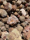 Condor Agate Rough