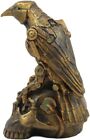 Steampunk Dark Crow Raven Setting On Skull Skeleton Sculpture Statue 6  Tall