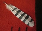 Native American Hand Painted Snowy Owl Adult Feather