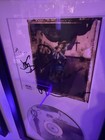 Pixies Signed Surfer Rosa Cd Framed Display Psa Auth Autographed Album