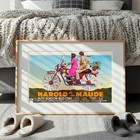 Archive Cinema  harold And Maude  11  X 17  Poster -- 1970s Wall Art