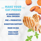 Digestive Health Catnip Chicken Crunchy Cat Treats
