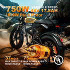 1000w Electric Bike For Adult 48v 17 8ah 75mile 35mph 20 fat Tire Mountain Ebike