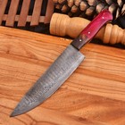 Forged Handmade Damascus Steel Fix Blade Kitchen Knife Chef Outdoor Tactical