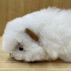Alpaca Pure Wool Guinea Pig Doll