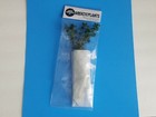 Bacopa Caroliniana  lemon Bacopa  - Live Aquatic Plant - Aquarium