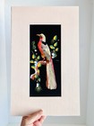 Vintage Japanese 10x16 Feather Art Bird On A Tree Branch   Matted   Unframed