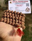 Lab Certified Rare 8 Mukhi Rudraksha Rudraksh Mala Rosary 108 1 Prayer Beads