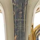 Eastman Ebb825vg Professional 5 4 Bbb Tuba In Gold Brass Sn Y2500333