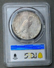 Gold Shield Pcgs 1926-s  1 Peace Dollar Ms64