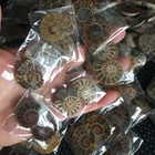 50 Pair  Of Split Ammonite  Specimen Shell Healing Madagascar 02