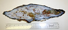 Hubbard Basin Petrified Wood  Top Polish  Baby Blue  Large Museum Display Slab  