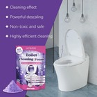 1 5 Bags Fizzclean Toilet Foam Cleaner  Toilet Cleaning Foam Insta-action 100g