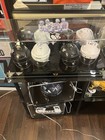 Pittsburgh Penguins Crosby Malkin Lemieux Jagr Autographed Mini-helmets W jsa