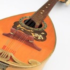 Adjustable Ebony Mandolin Bridge With Replaceable Nut - Wood Accessory Upgrade