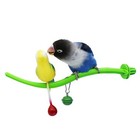 Pet Bird Toy Bird Perch Playing Cage Accessories With Interactive Bird Parrot