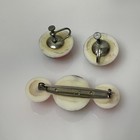 Vintage Pressed Flower Lucite Brooch   Earring Jewelry Set 1940s - 1950s Resin