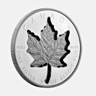 2023  20 Canada Super Incuse Maple Leaf Black Rhodium Ngc Pf70 Silver Rev Proof