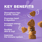 Dog Vitamins 15 In 1 Multivitamin Chews With Msm For Hip Joint Health Support