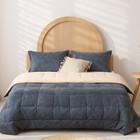 3 Pcs Bedding Set Thickened Warm Double-sided Milk Fleece Blanket   Pillowcases