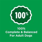 Purina Dog Chow Complete Adult Dry Dog Food  High Protein Real Chicken  18 5 Lb