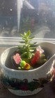 Handcrafted Holder  All-purpose Decor