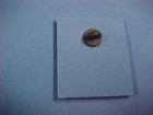 2010 Xetremely Rare Breyer Horse Lapel Pin See Photos