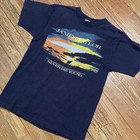 Vintage 80s James Taylor Shirt Size Medium Large Rock Band Tour Never Die Young