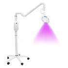 Dental Teeth Whitening Machine Lamp Bleaching Cold Led Blue   Red  Purple Light