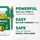 Spruce Weed Killer Spray - Snap   Spray Weed   Grass Killer    Powered Starter Kit