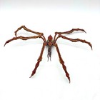 Hiya Toys Exquisite Basic Godzilla X Kong The New Empire  scylla  Monster Figure