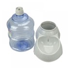Automatic 1 Gallon Pet Water Bowl For Dogs   Cats  Drinking Dispenser  Fountain