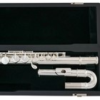 Hot Selling Alto Flute Pfa-206eu G Tune 16 Closed Hole Sliver Plated With Case