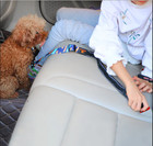 Pet Car Seat Belt Anti Shock Clip Bungee Lead Vehicle Travel Safety Harnessp