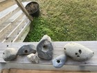 Large Lot Of Raw Hag Stones Metaphysical For Portals protection