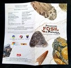Malaysia Fossil Discovery 2025 Dinosaur Elephant Tiger Prehistoric Skeleton  fdc