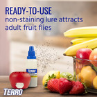 Indoor Fruit Fly Trap   2-count    Terro Traps  In Built With Window Sinks   