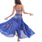 New Belly Dance Costume Set Sequin Top Bra Long Skirt Professional Dancing Dress