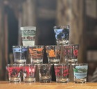 Lot Of 11 Collector Shot Glasses See Description For Details Barware Mixed Bundl
