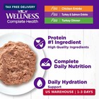 Wellness Complete Health Pate Variety Pack Adult Canned Wet Cat Food  Natural  P