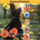 E-collar Humane Dog Training Collar With Remote  100 Safe Tapping Stimulation