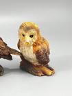 Assorted Lot Of 7 Realistic Owl Statue Figurines Resin 3 5  Tall