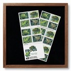 Frogs Pristine Mnh 2019 First Class  5 Books 100 Pcs Total