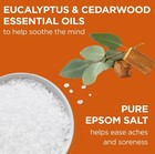 Dr Teal s Limited Edition Cozy Fireside Epsom Salt Soak   Foaming Bath