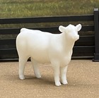 1 32 Stablemate Show Steer Clubby Calf Model 3d Print For Breyer Horses Cattle