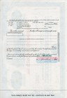 Foremost Dairies  Inc  Stock Certificate 100 Shares