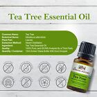 Organictea Tree Essential Oil Usda Certified 100  Pure Therapeutic Grade Natural