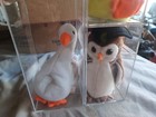 Ty Beanie Baby Retired Mixed Bird Lot Of 9 With Cases