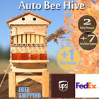 Auto Bee Hives Beekeeping Box Comb Honey House  7 Beekeeping Frames   Hive Stand